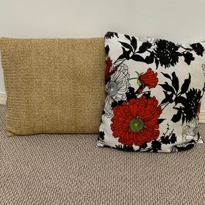 Throw Pillow 2 pieces